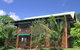 Atherton Blue Gum - thumb 0