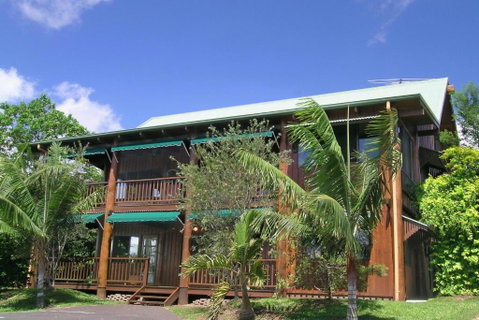 Atherton Blue Gum - Whitsundays Accommodation 0