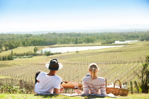 Audrey Wilkinson Vineyard - Whitsundays Accommodation 0