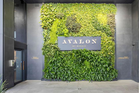 Avalon Resort Maroochydore - Whitsundays Accommodation 2