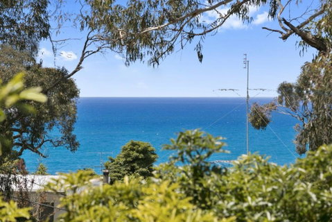 Avirgonia - Whitsundays Accommodation 2