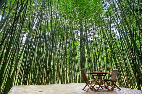 Azabu Retreat & Spa - Whitsundays Accommodation 1
