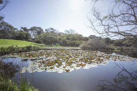 Apollo Bay Cottages- Sabine - Whitsundays Accommodation 4