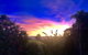 Daintree Manor B&B - thumb 3