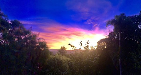 Daintree Manor B&B - Whitsundays Accommodation 3