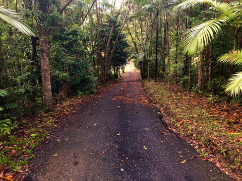 Daintree Manor B&B - Whitsundays Accommodation 12