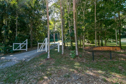 Daintree Manor B&B - Whitsundays Accommodation 18