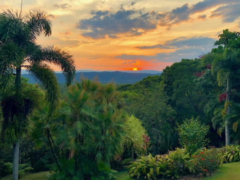 Daintree Manor B&B - Whitsundays Accommodation 13