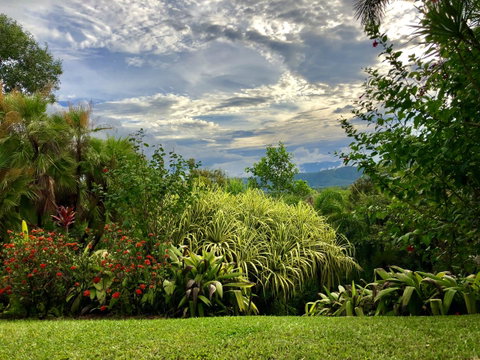 Daintree Manor B&B - Whitsundays Accommodation 2