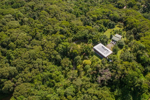 Daintree Manor B&B - Whitsundays Accommodation 14