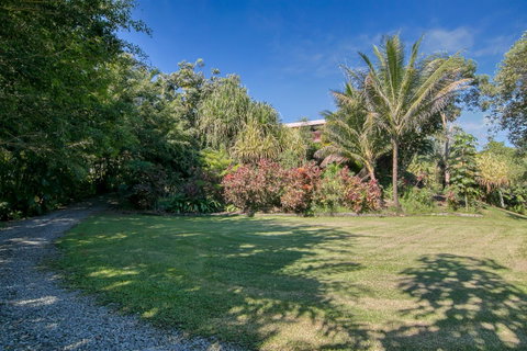 Daintree Manor B&B - Whitsundays Accommodation 19