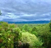 Daintree Manor BB - Whitsundays Accommodation