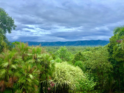 Daintree Manor B&B - Whitsundays Accommodation 0