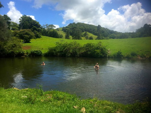 Maleny Springs Farm - Whitsundays Accommodation 34