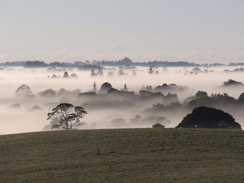 Maleny Springs Farm - Whitsundays Accommodation 22