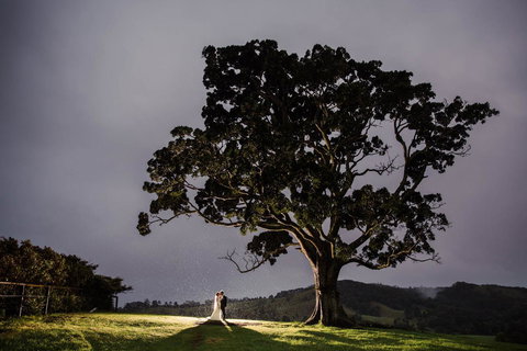 Maleny Springs Farm - Whitsundays Accommodation 16