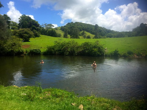 Maleny Springs Farm - Whitsundays Accommodation 28