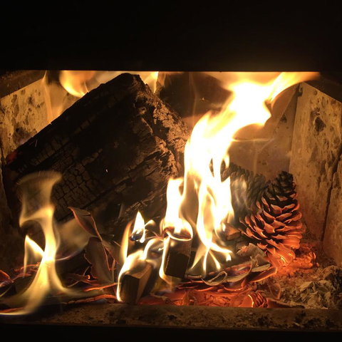 Maleny Springs Farm - Whitsundays Accommodation 13