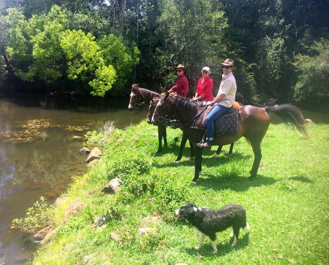 Maleny Springs Farm - Whitsundays Accommodation 33