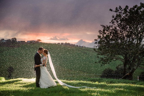 Maleny Springs Farm - Whitsundays Accommodation 11