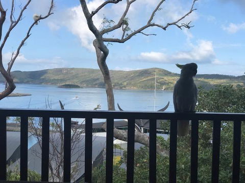 Casuarina Cove 18 - Whitsundays Accommodation 9