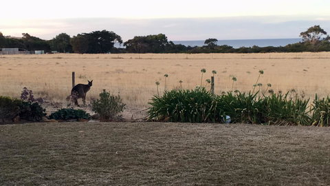 Beeâ€™s Place - 3 Bedroom Home On 10 Acres Of Land With Distant Ocean Views - Whitsundays Accommodation 23