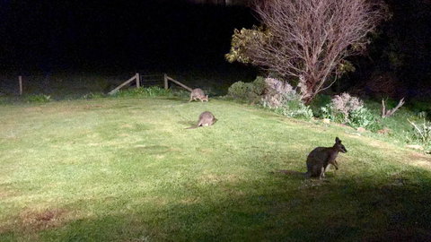 Beeâ€™s Place - 3 Bedroom Home On 10 Acres Of Land With Distant Ocean Views - Whitsundays Accommodation 13