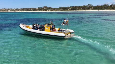 Beeâ€™s Place - 3 Bedroom Home On 10 Acres Of Land With Distant Ocean Views - Whitsundays Accommodation 29