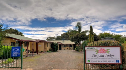 Ficifolia Lodge - Whitsundays Accommodation 0