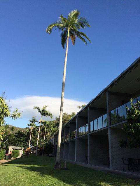 Arcadia Village Motel - Whitsundays Accommodation 36