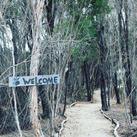 Flinders Island Glamping - Whitsundays Accommodation 0
