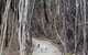 Flinders Island Glamping - thumb 12