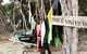Flinders Island Glamping - thumb 15