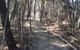 Flinders Island Glamping - thumb 1