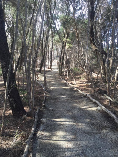 Flinders Island Glamping - Whitsundays Accommodation 1