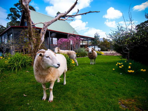 Parnella Adventure Bay, Bruny Island - Whitsundays Accommodation 19