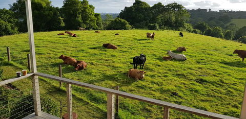 Seasons Of Maleny B&B - Whitsundays Accommodation 1
