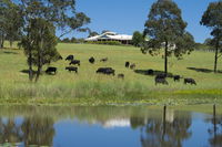 Book Nabiac Accommodation Vacations Whitsundays Accommodation Whitsundays Accommodation