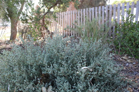 12 Apostles Cottages - Whitsundays Accommodation 2