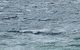 Beach Getaway - Blessington Villa - thumb 3