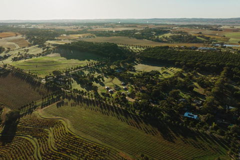 CANVS By CABN Seppeltsfield Barossa - Whitsundays Accommodation 2