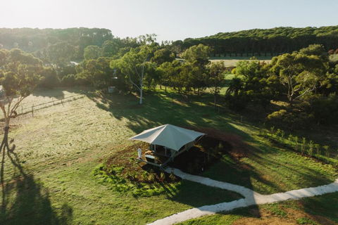 CANVS By CABN Seppeltsfield Barossa - Whitsundays Accommodation 0