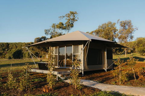 CANVS By CABN Seppeltsfield Barossa - Whitsundays Accommodation 3