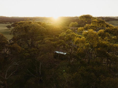 CABN Clare Valley - Whitsundays Accommodation 4