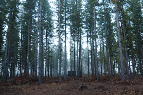CABN Kuitpo Forest - Whitsundays Accommodation 2