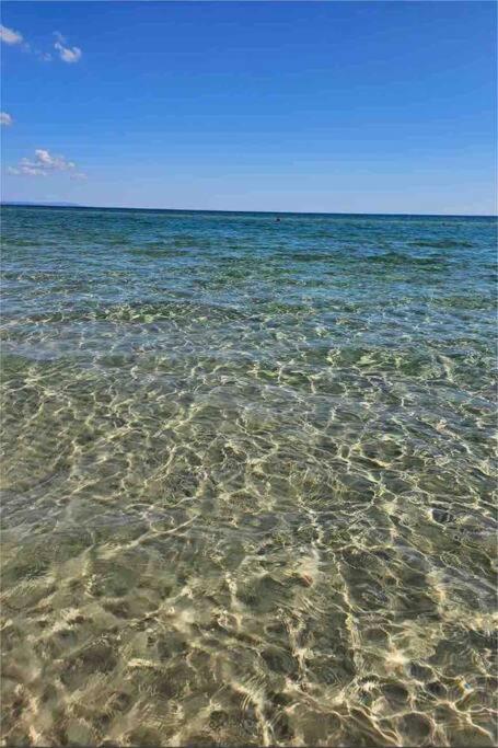 Coastal Escape, Townhouse Steps From The Sea - Whitsundays Accommodation 4