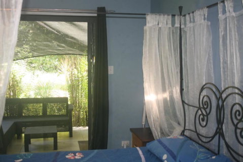 Daintree Rainforest Accommodation - Whitsundays Accommodation 3