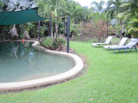 Daintree Wild Bed & Breakfast - Whitsundays Accommodation 4
