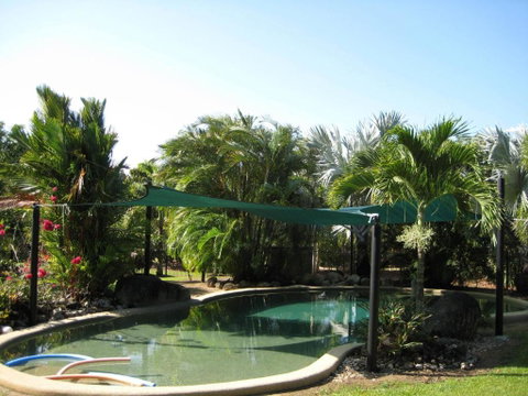 Daintree Wild Bed & Breakfast - Whitsundays Accommodation 3