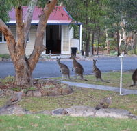 31 The Rocks - Whitsundays Accommodation